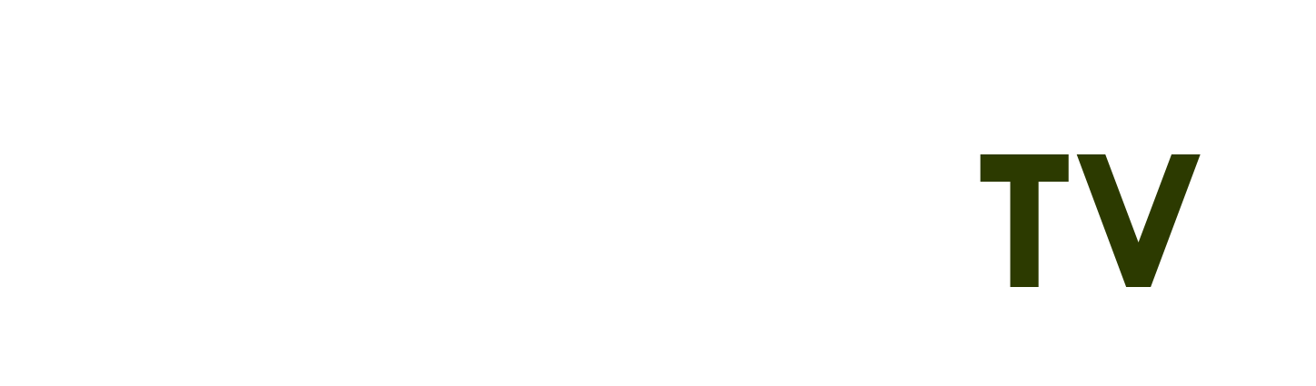 Tra Cứu Tiền điện Theo Mã Khách Hàng - mái ngố